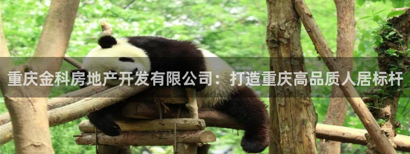 万向娱乐平台好不