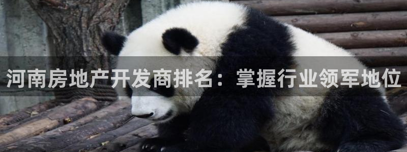 万向娱乐平台代理怎么样啊