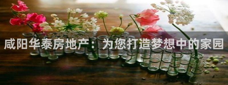 万象国际娱乐网址