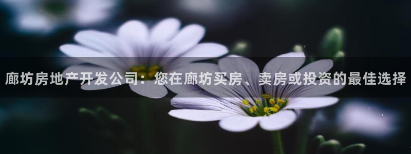 万象游戏代理