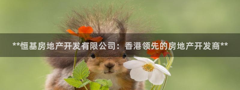 万向娱乐平台代理怎么做赚钱