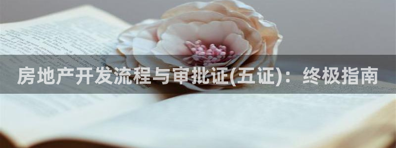 万向娱乐平台代理多少钱一个月