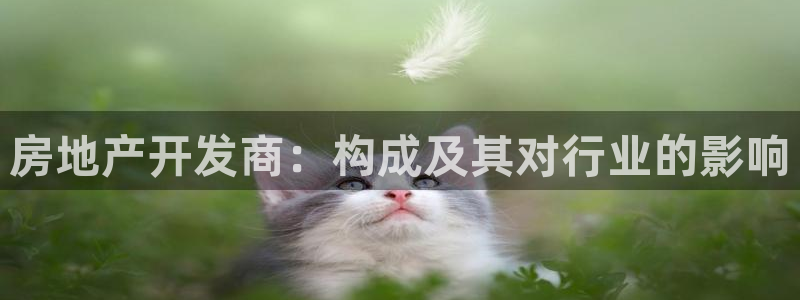 万向娱乐是野鸡台吗