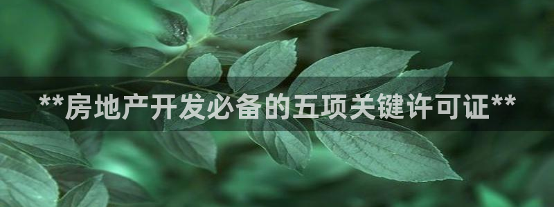 万向娱乐平台代理多少钱一个