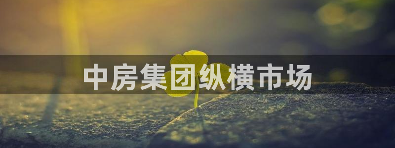 万向娱乐代理好看视频