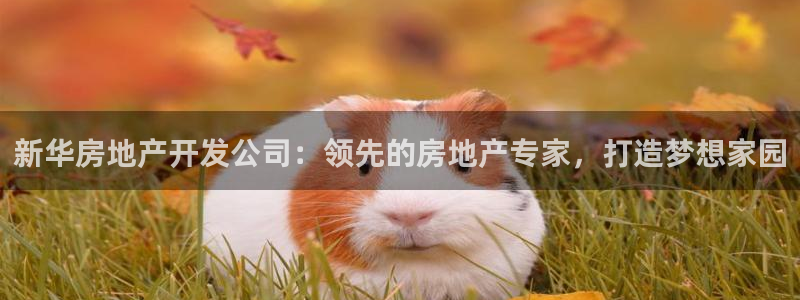 万向娱乐平台代理怎么做的