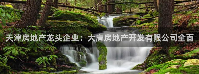 万向娱乐代理好看视频