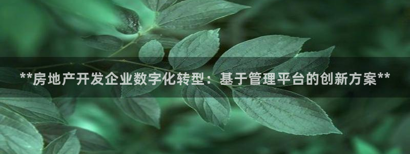 万向娱乐app下载官网