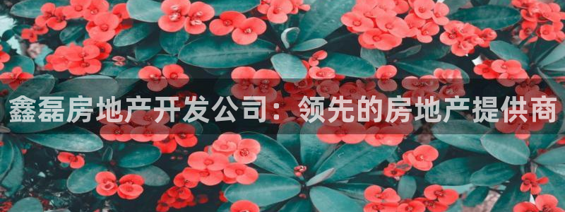 万向娱乐技术分享