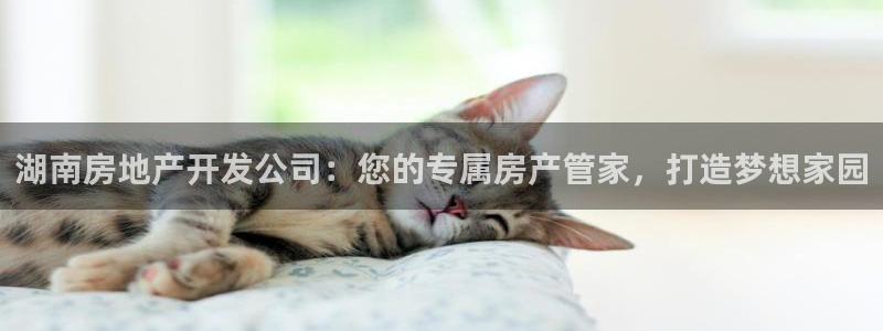 万向娱乐是哪个旗下