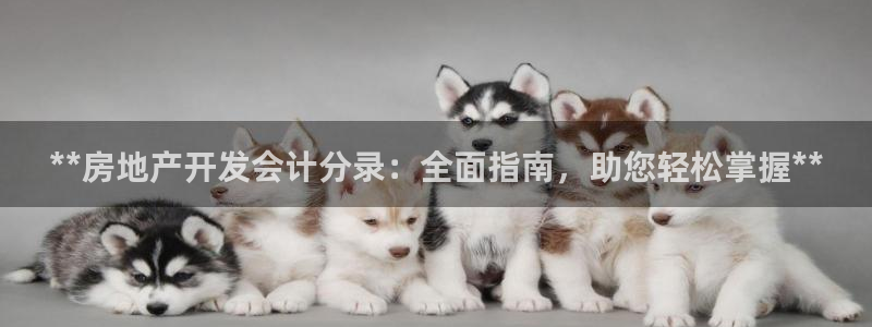 万向娱乐官网