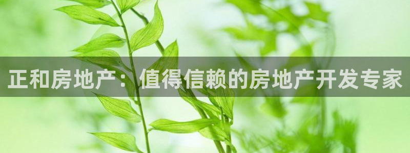 万向娱乐怎么样