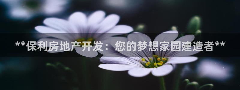 万向娱乐的494o3 主管