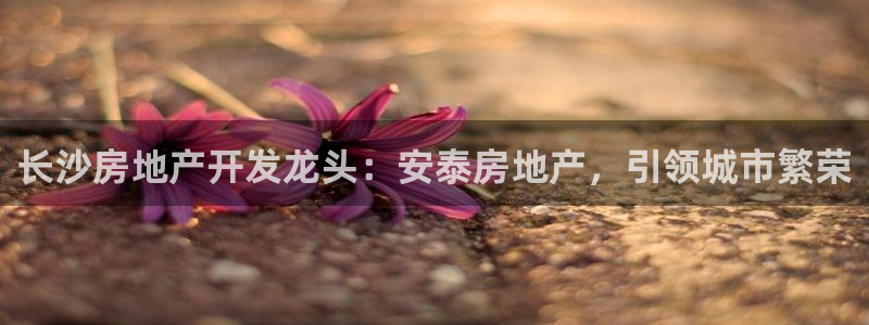 万向娱乐app下载安装