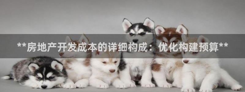 万向娱乐平台代理多少钱一个