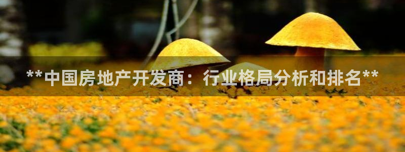 万向娱乐技术