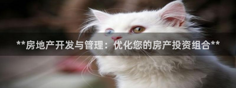 万向娱乐官网下载安卓