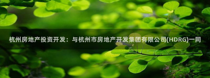 万向娱乐平台代理多少钱一年
