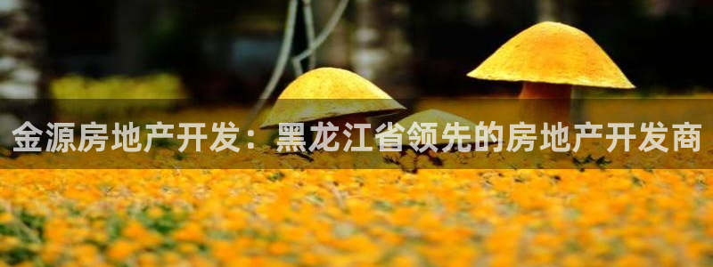 万向娱乐技术分享