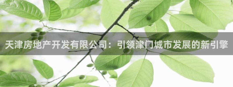 万向娱乐平台代理怎么做的