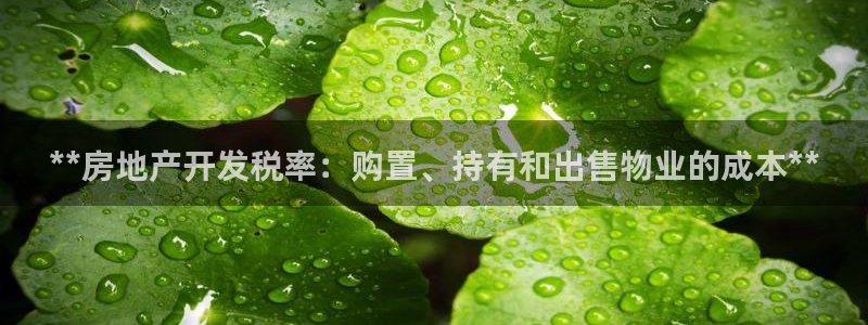 万向娱乐公司官网