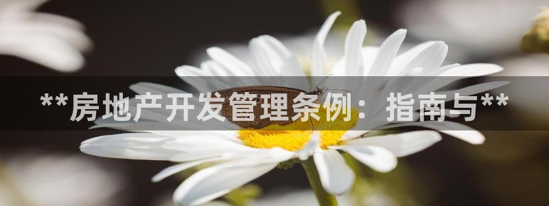 万向娱乐是野鸡台吗
