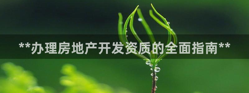 万向娱乐官网网址是什么
