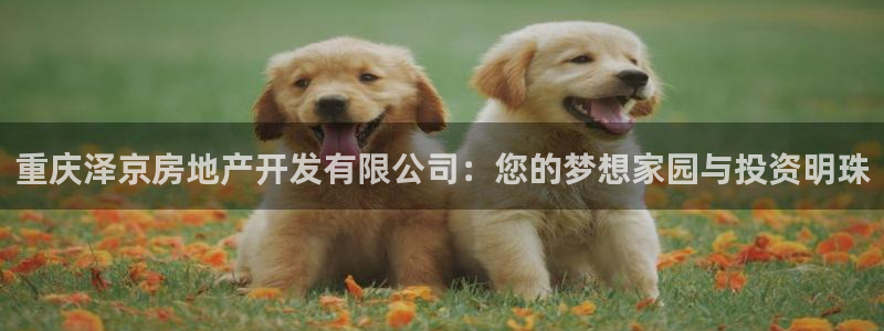 万向娱乐平台代理怎么做赚钱