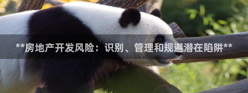 万向娱乐挂机软件