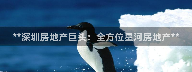 万向娱乐技术