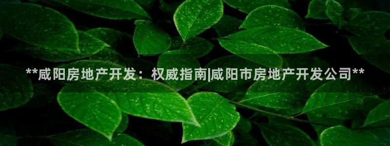 万向娱乐是哪个旗下