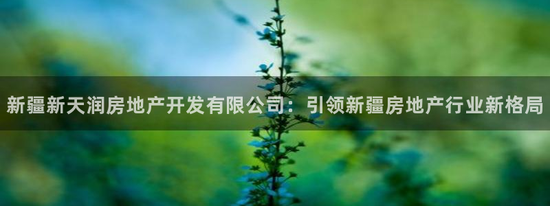 万向娱乐平台下载安装手机版