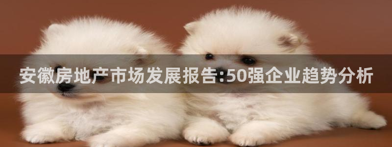 万向娱乐下载