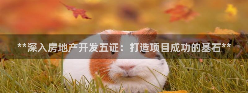 万向娱乐平台代理多少钱一年