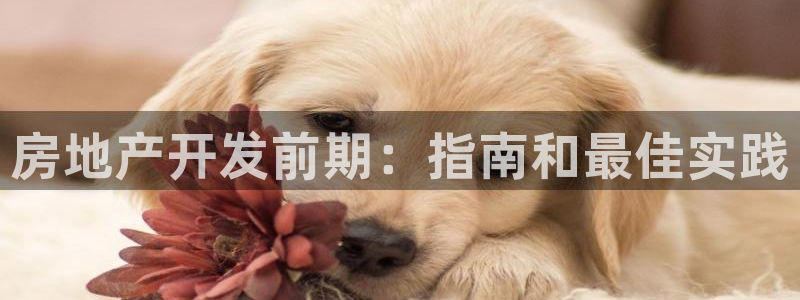 万向娱乐app