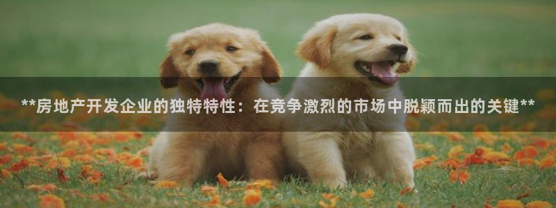 万向娱乐官网首页
