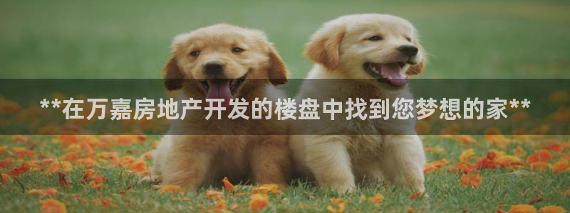 万向娱乐平台代理多少钱一个月