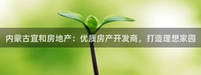 万向娱乐官网网址是什么
