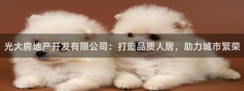 万向娱乐总代