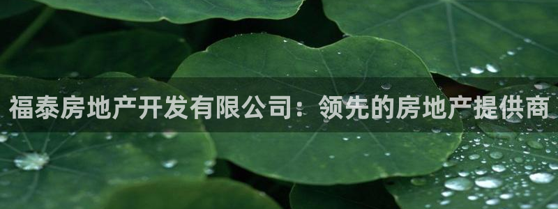 万向娱乐平台代理