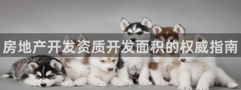 万向娱乐官网下载安卓