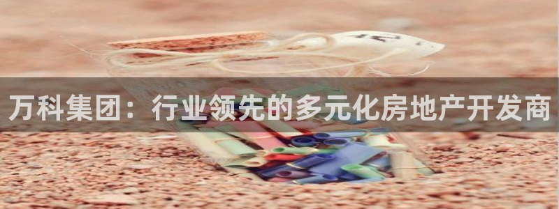 万向娱乐技术