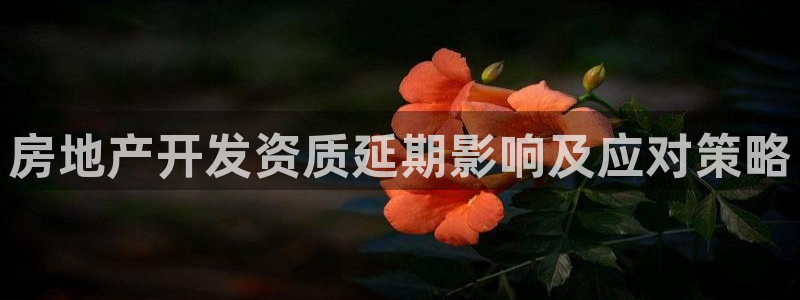 万向娱乐官网网址是什么