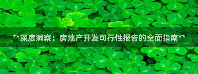万向娱乐挂机软件