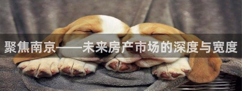 万向娱乐官网下载安卓