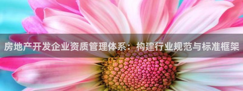 万向娱乐平台代理怎么做的