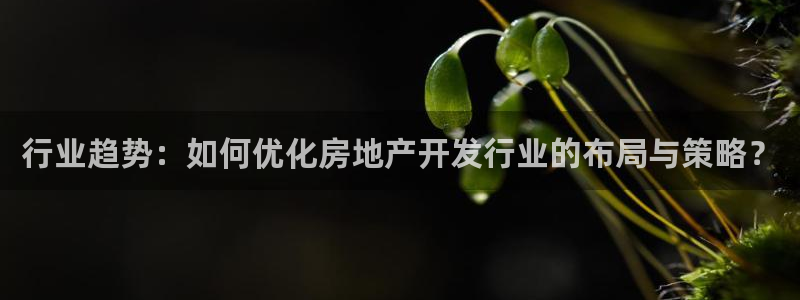 万向娱乐app下载官网