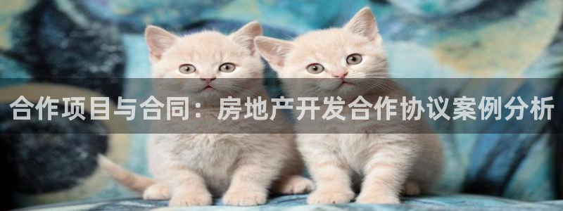 万向娱乐平台代理怎么做赚钱