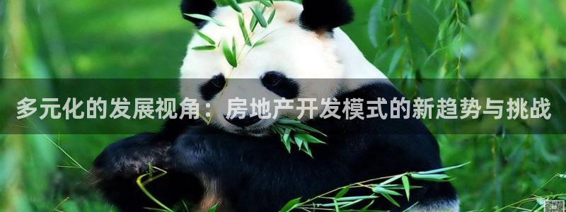万向娱乐老板
