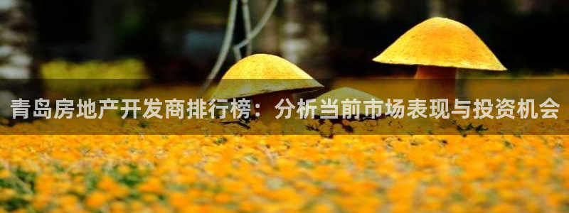 万向娱乐平台代理怎么样啊